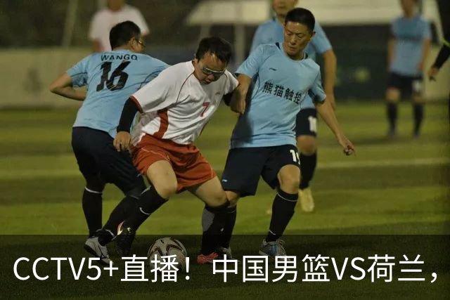 CCTV5+直播！中国男篮VS荷兰，杨瀚森确定出战，郭士强重点考察后卫
